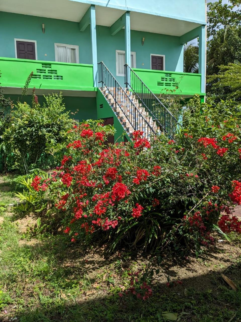 De Kolibrie Appartementen Paramaribo Esterno foto